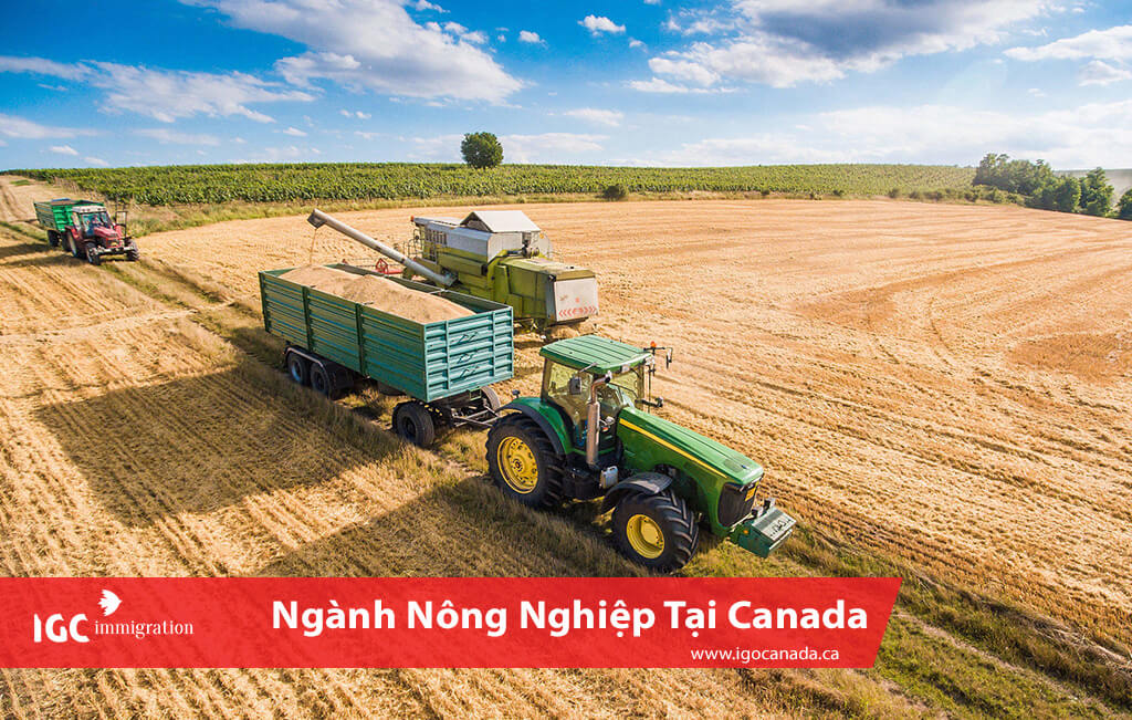 ngành nông nghiệp ở Canada với máy móc kỹ thuật hiện đại