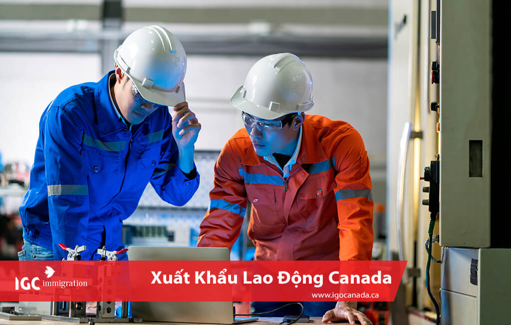 Điều kiện xuất khẩu Canada