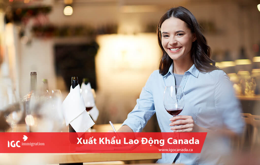 làm việc nghề quản lý khách sạn nhà hàng và du lịch