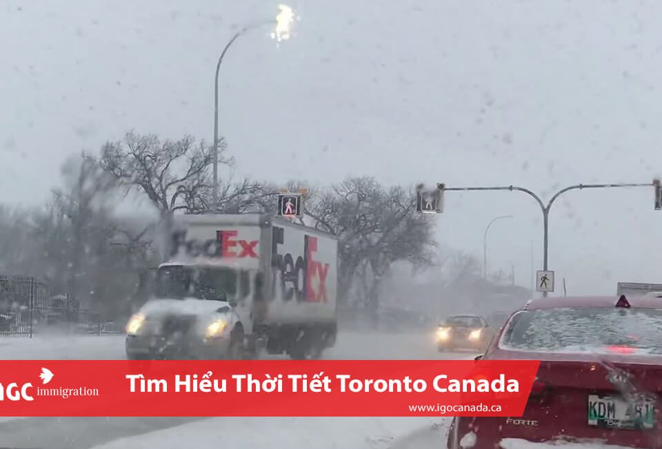 thoi tiet tai toronto canada