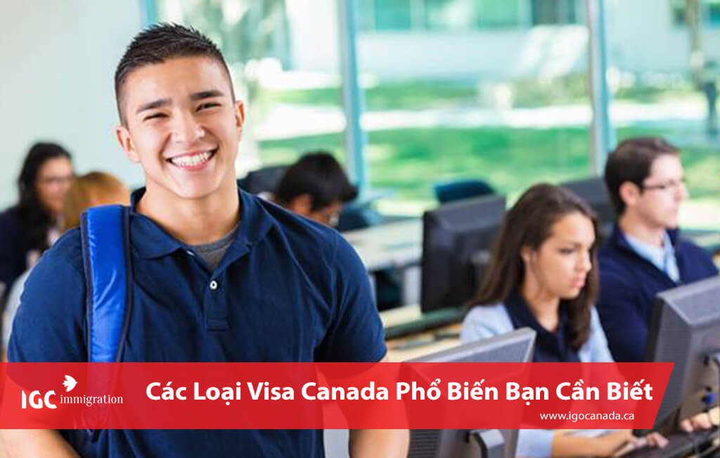 visa du hoc là 1 trong cac loai visa canada pho bien
