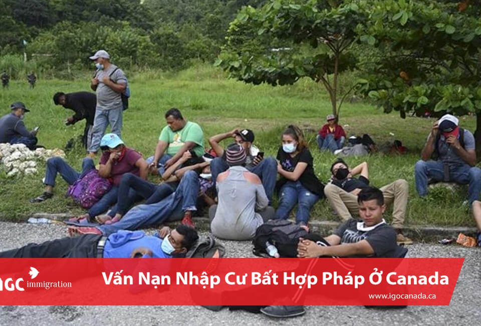 nhap cu bat hop phap o canada